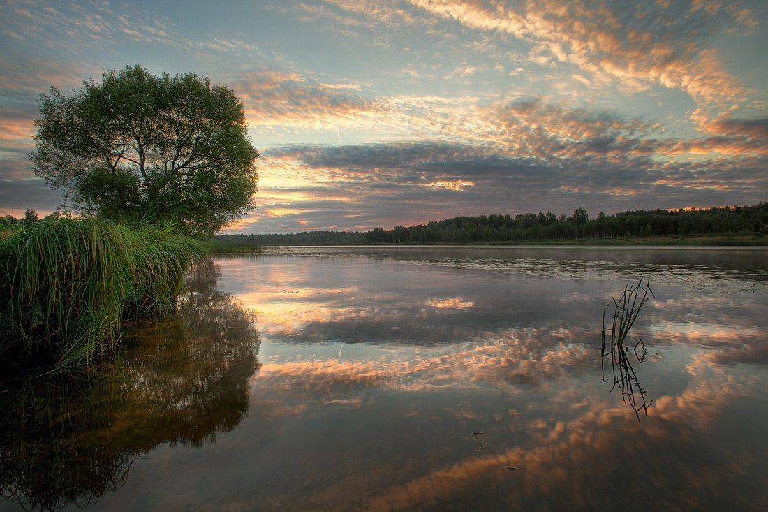 , Олег Козлов