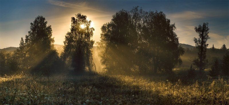 утро Утренний свет фото превью