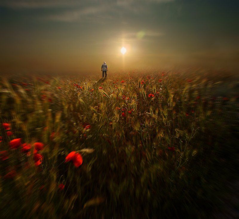 my space фото превью