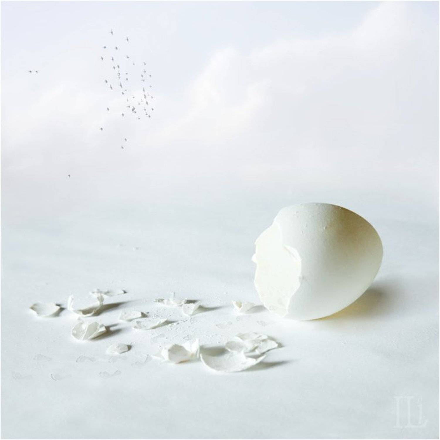 яйцо, Илья Панфилов