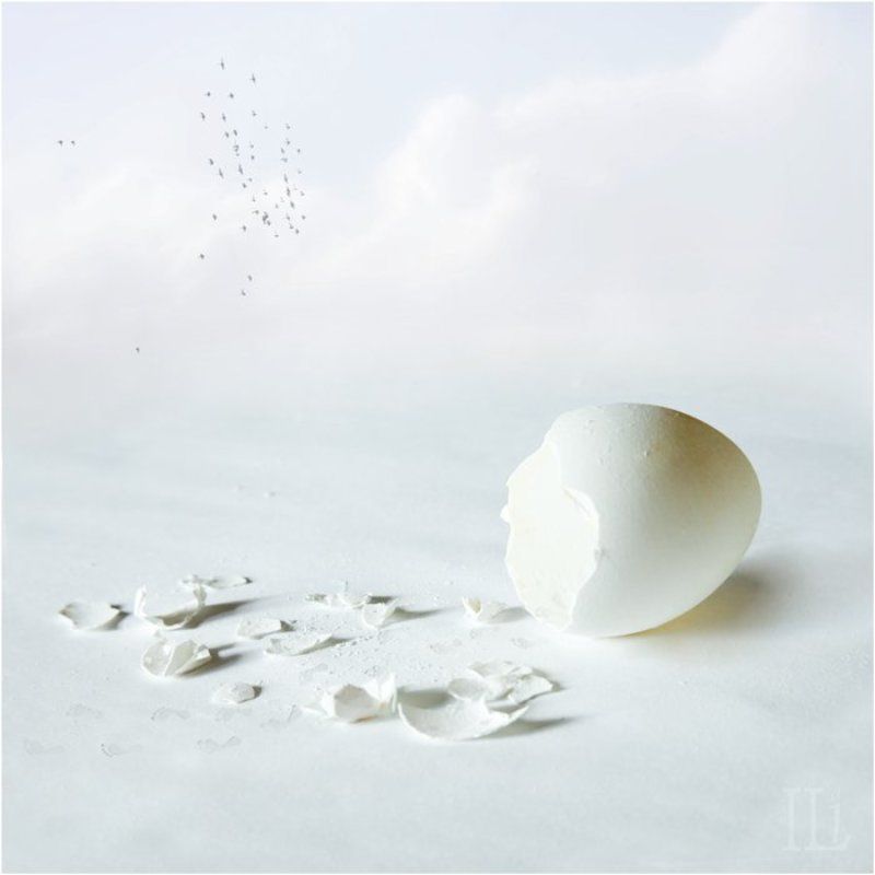 яйцо С Днем рождения Брахма! фото превью