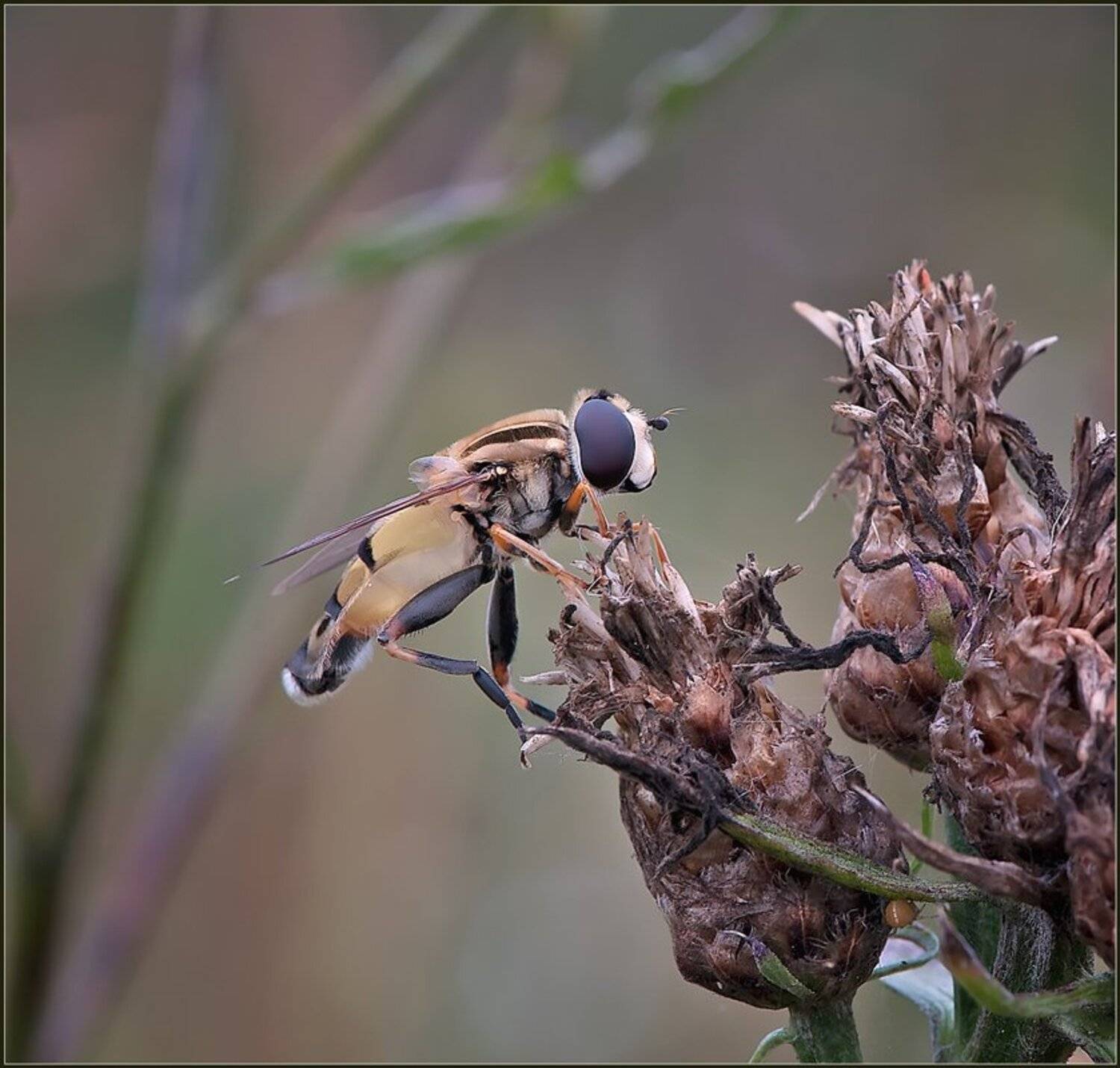, Евгений Кирилкин.