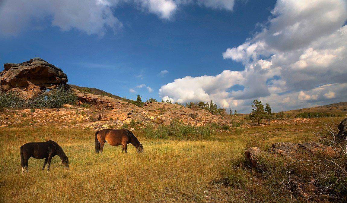 , Андрей Журавлев