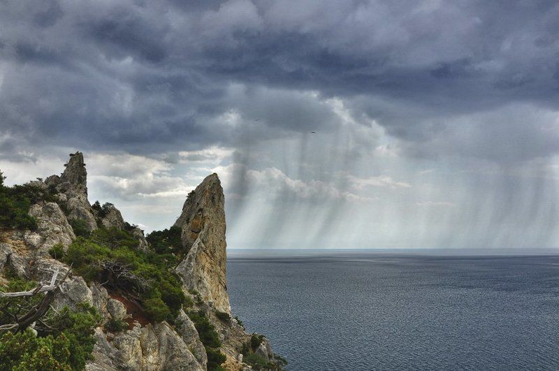 ливень  фото превью