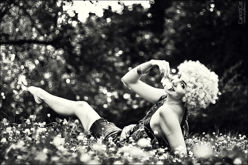 carrotcat, bw  фото превью