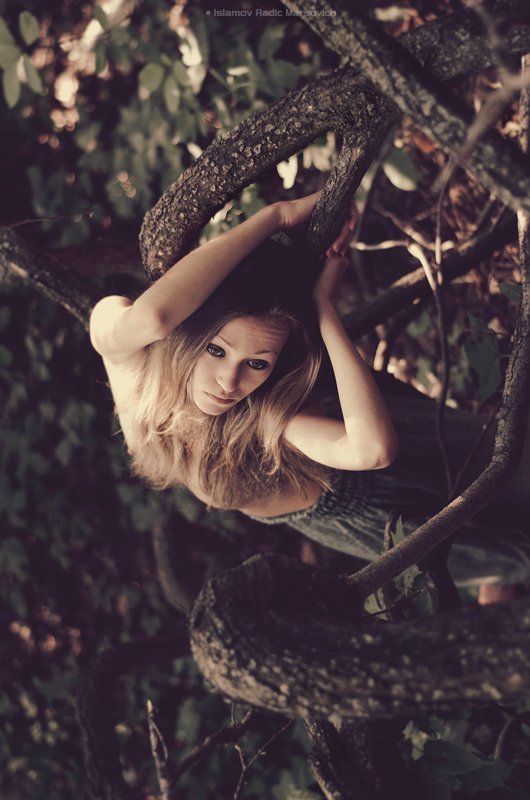 Trinity Ents фото превью