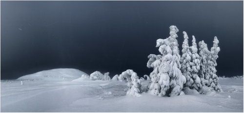 Увидеть однажды...