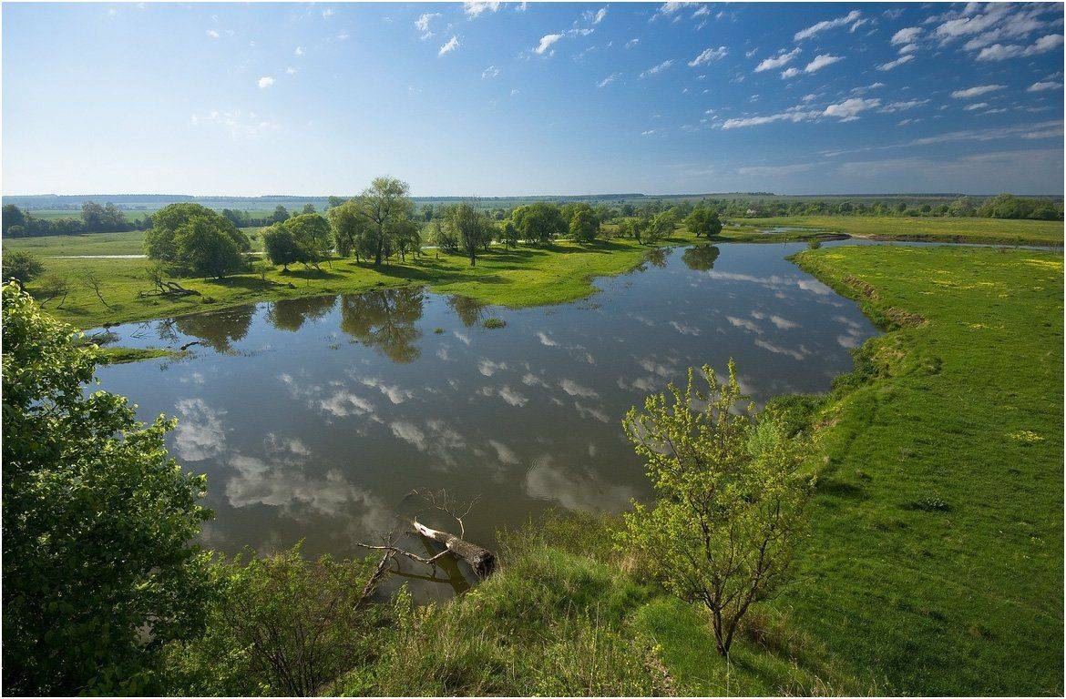 , Николай Шахманцир