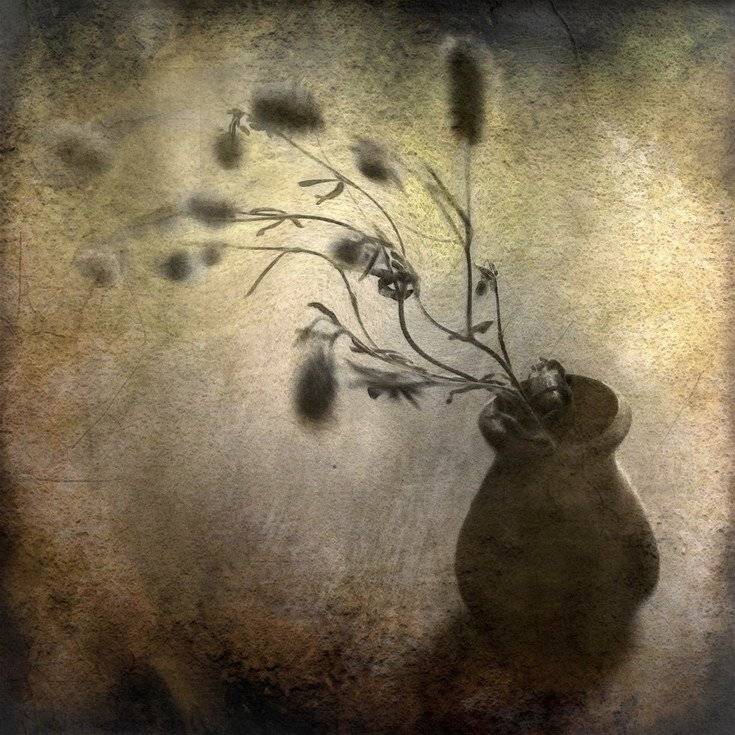 , Людмила Прокофьева