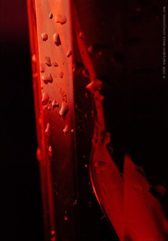 чайку ?.. ,) фото превью