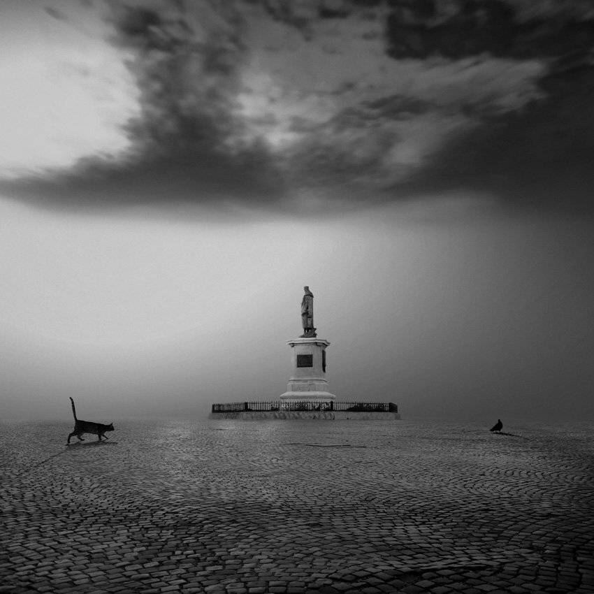 cat, dove, street, bricks, statue, Caras Ionut