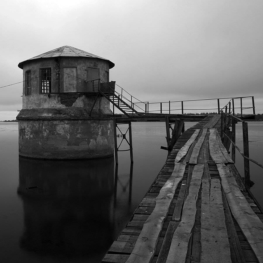 , СПИРИДОНОВ НИКОЛАЙ