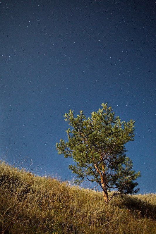 россия, тамбов, ночь, звёзды  фото превью