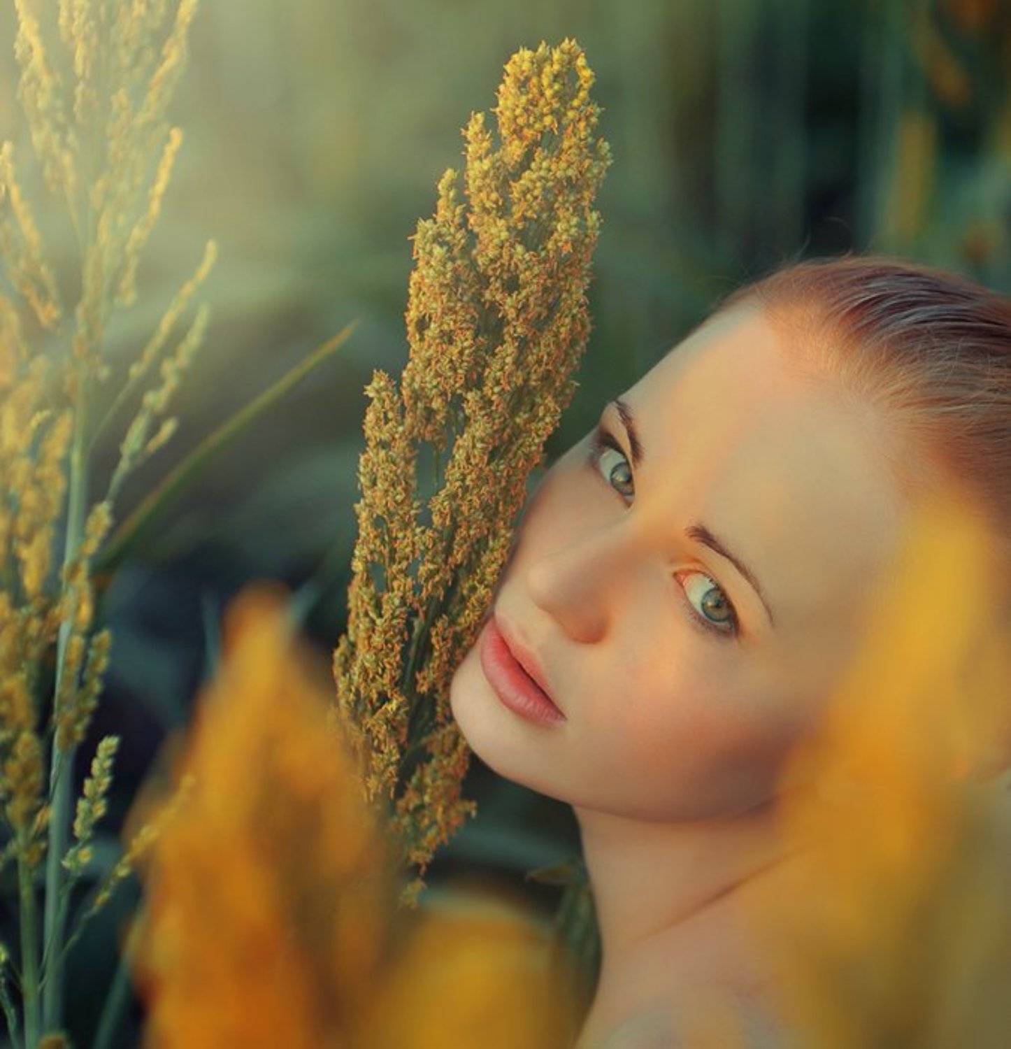 , Алексей Ковалёв