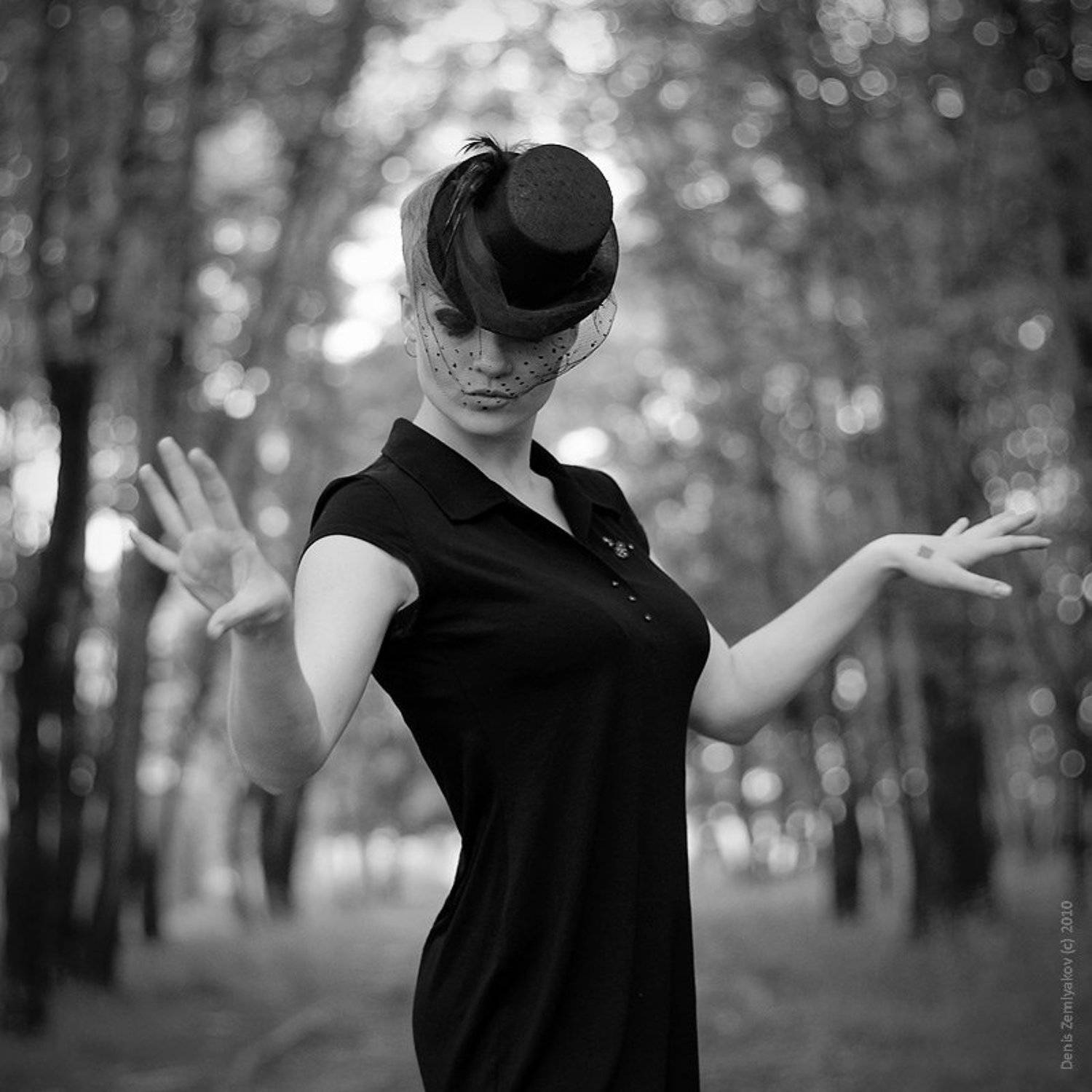 , Земляков Денис