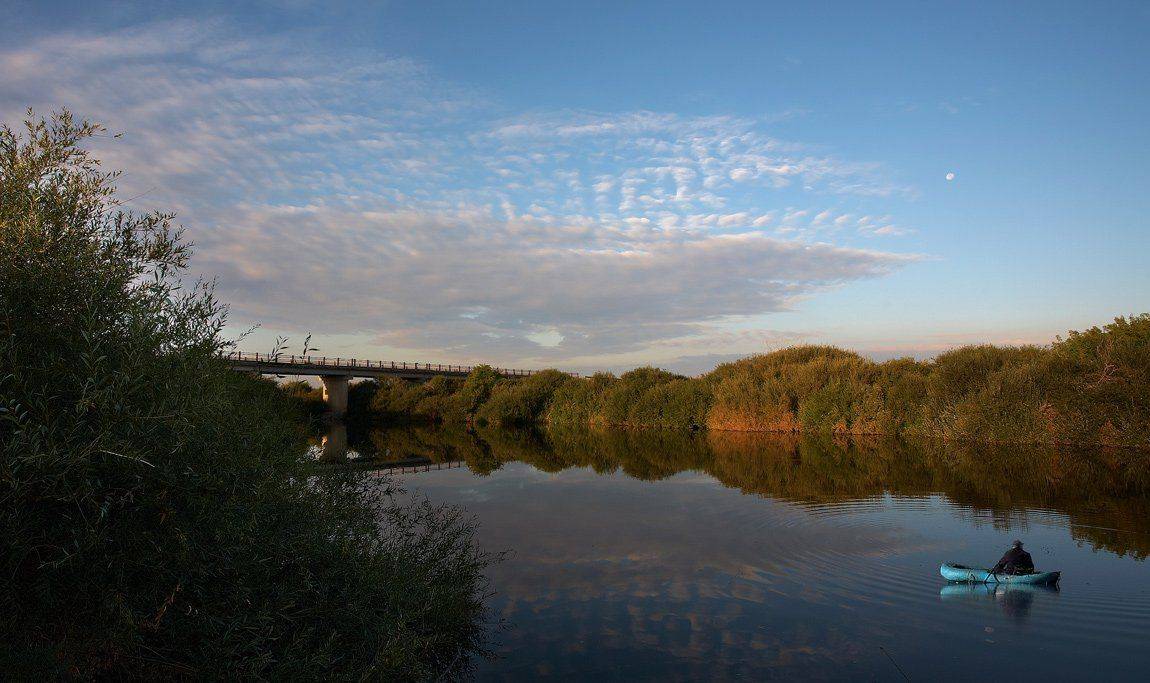 , Андрей Журавлев