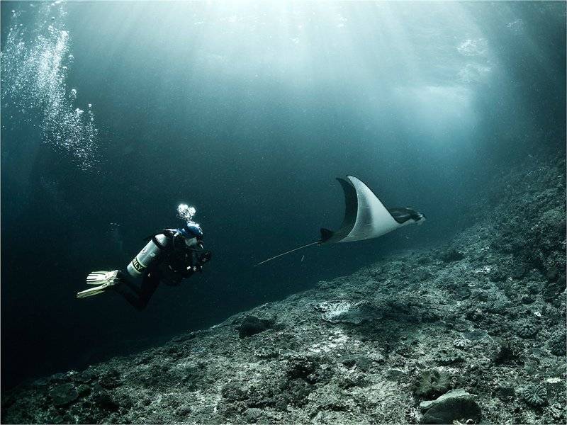 , Олег Федин