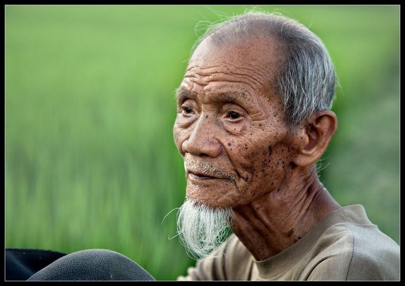 вьетнам, вьетнамец, старик Вьетнамец.... фото превью