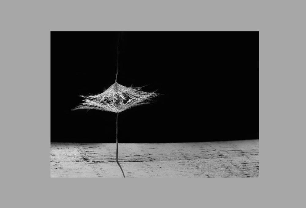 , Татьяна Аверина