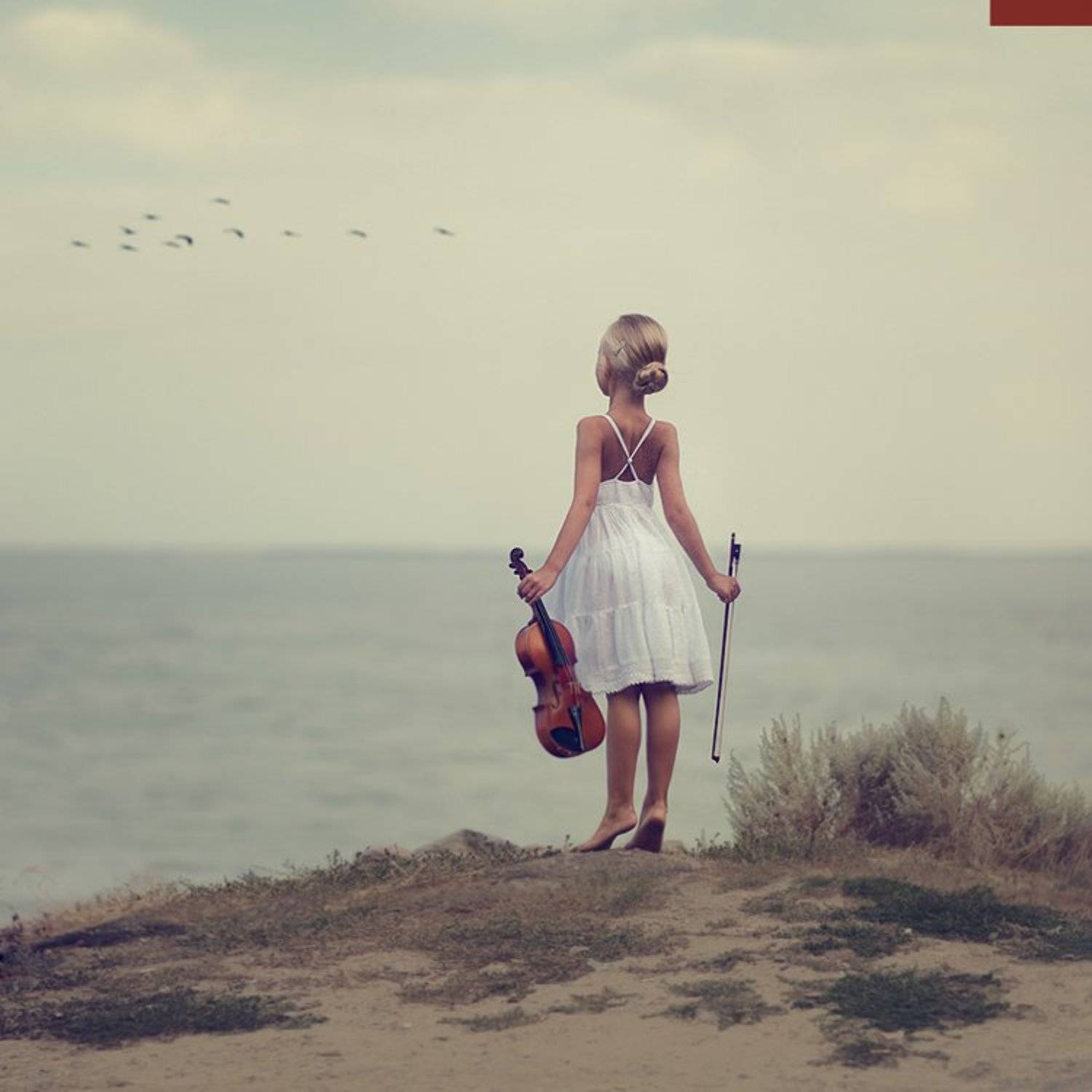 lucas, lucastudio, Andrew Lucas