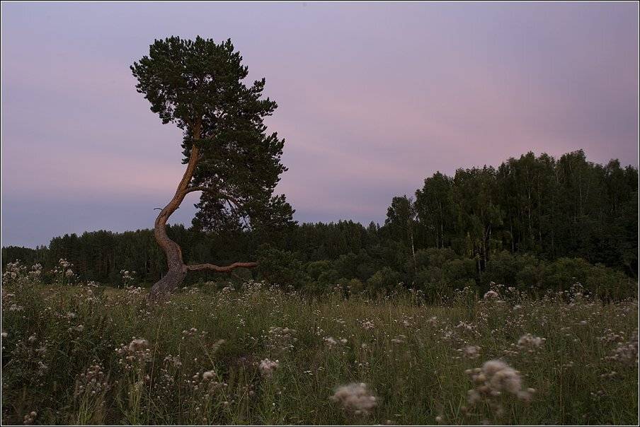 , Владимир Жданов