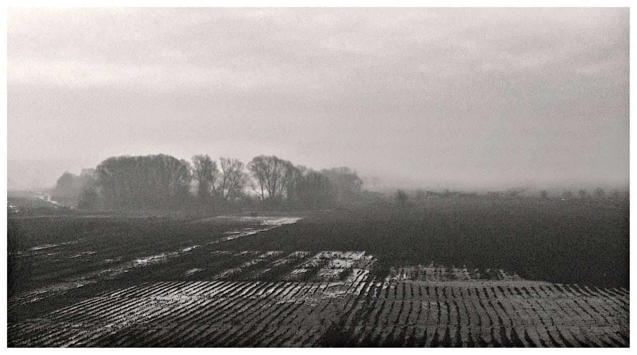 , Роман Белоцерковец