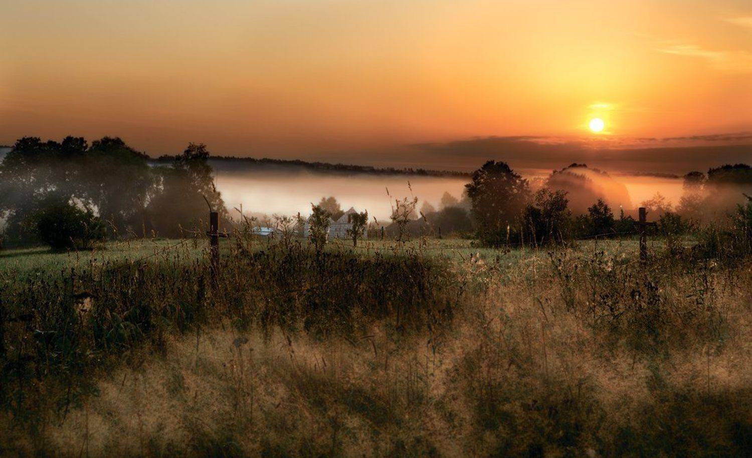 туман, рассвет, восход, деревня, трава, Владимир