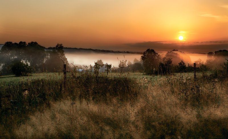 туман, рассвет, восход, деревня, трава  фото превью
