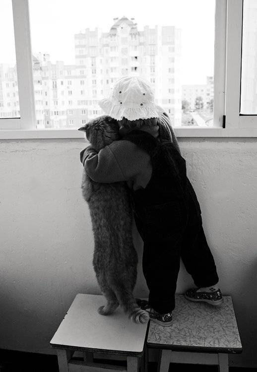 кот, ребенок, балкон, Елена Сергеенко