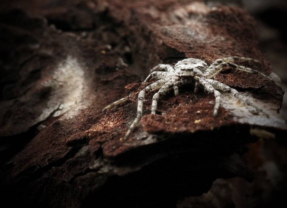 , Васенин Валерий