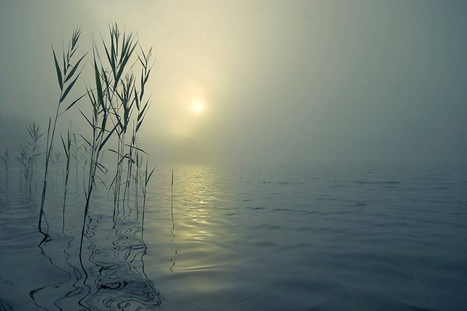 , Rimantas Bikulcius