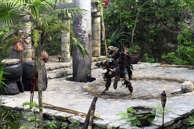 мексика, п-о юкатан, ривьера майя, парк шкарет ...а зовут его Лапа Ягуара фото превью