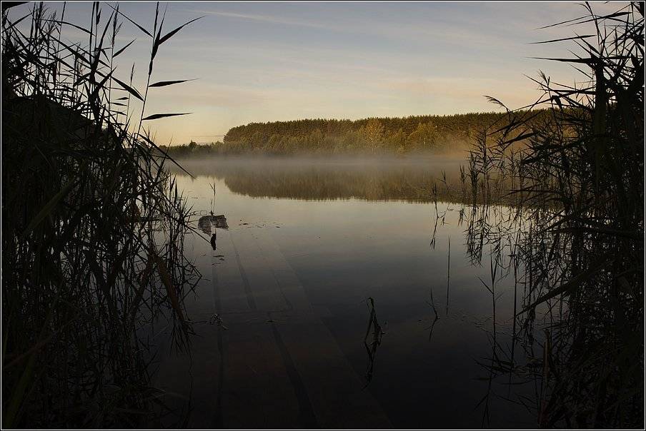, Владимир Жданов