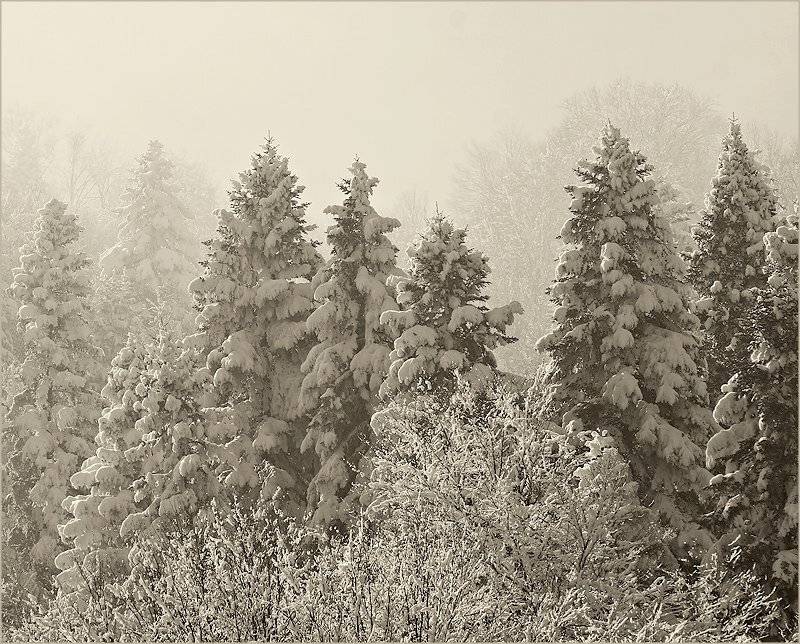 winter, Kostadin Momchilov