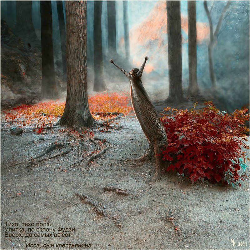 Улитка на склоне фото превью