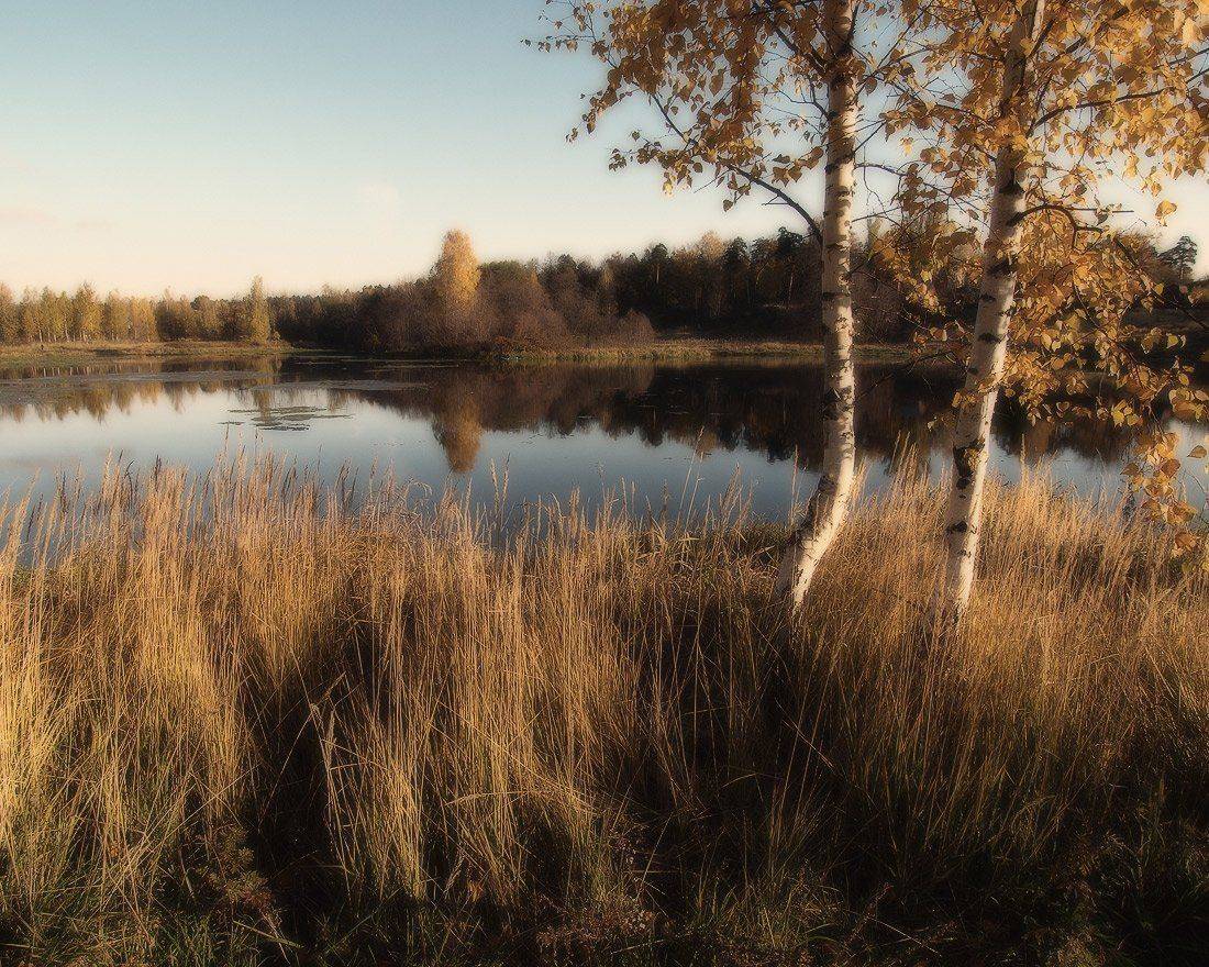 , Владимир Перепечаев