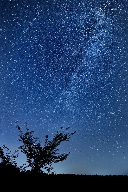 млечный путь звезды персеиды Персеиды 2018 фото превью