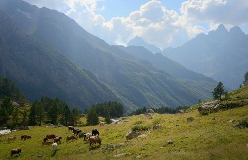 В горах