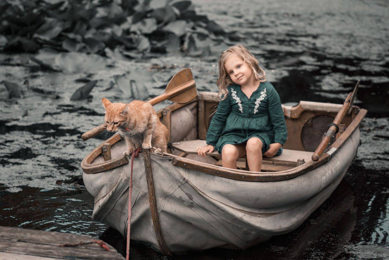 , Arkadiusz Michalak