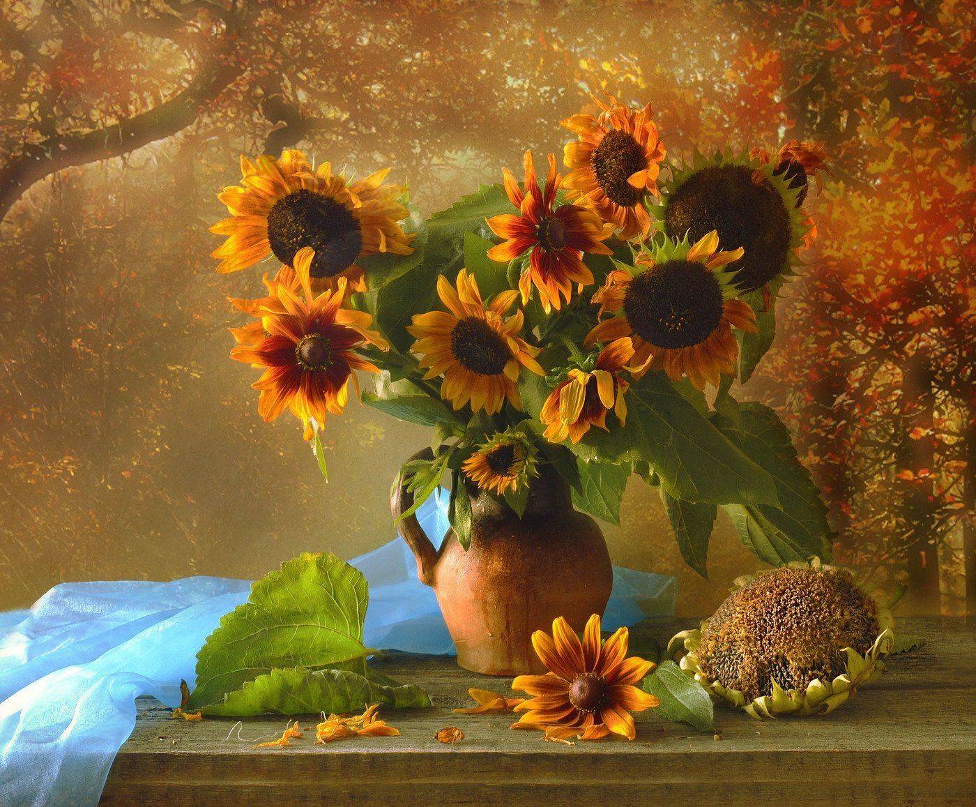 still life,натюрморт, август ,лето ,подсолнухи, фото натюрморт,, Колова Валентина