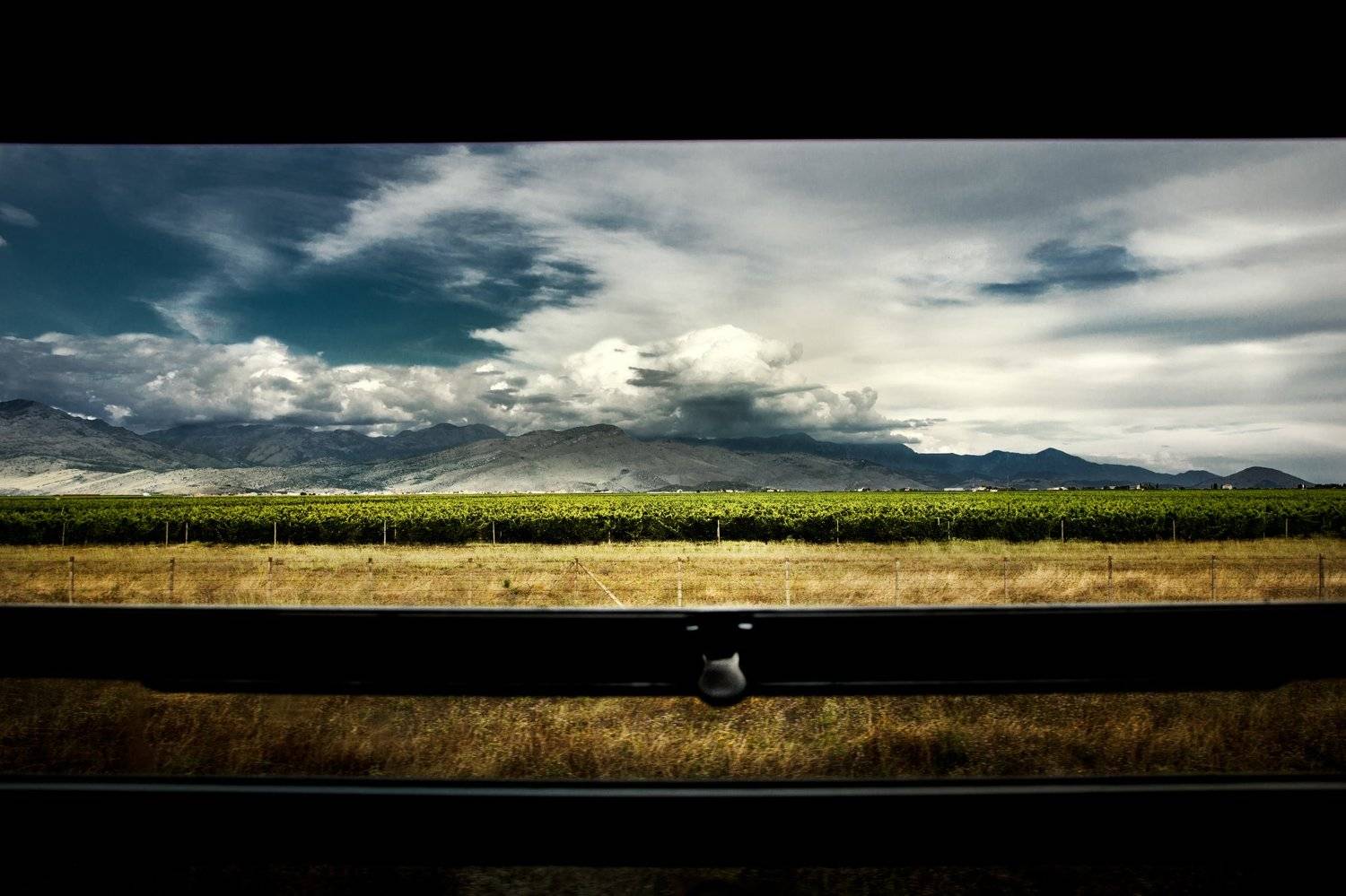montenegro, wine, grape, mountains, travel, clouds, train, fields, plantations, черногория, вино, виноград, горы, путешествия, облака, поезд, поля, плантации,, Marko Radovanovic