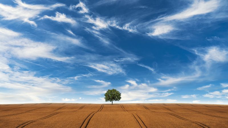 sommer loneliness фото превью