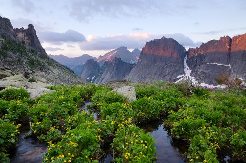 горные стражи