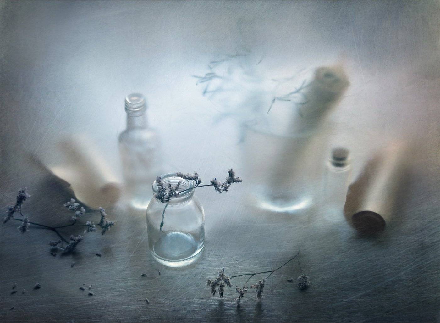 лето, трава, стекло, бумага, натюрморт, Елена Лысенко