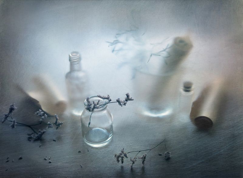 записки уходящего лета фото превью