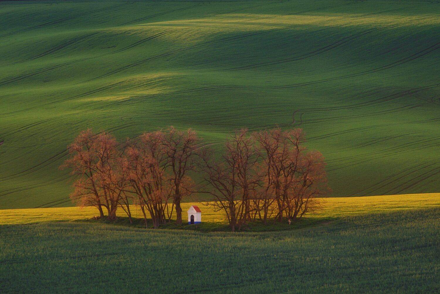 , Красимир Матаров