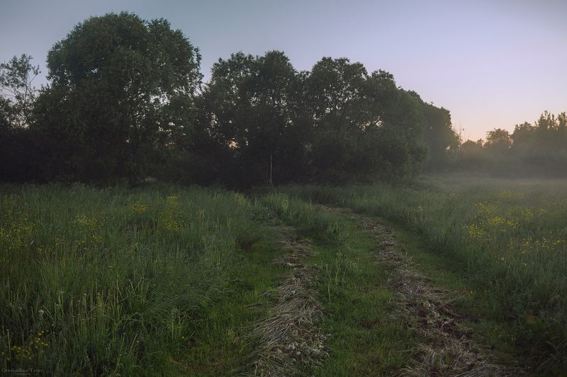 пейзаж,природа,утро,рассвет,весна,лето,дорога, .. фото превью