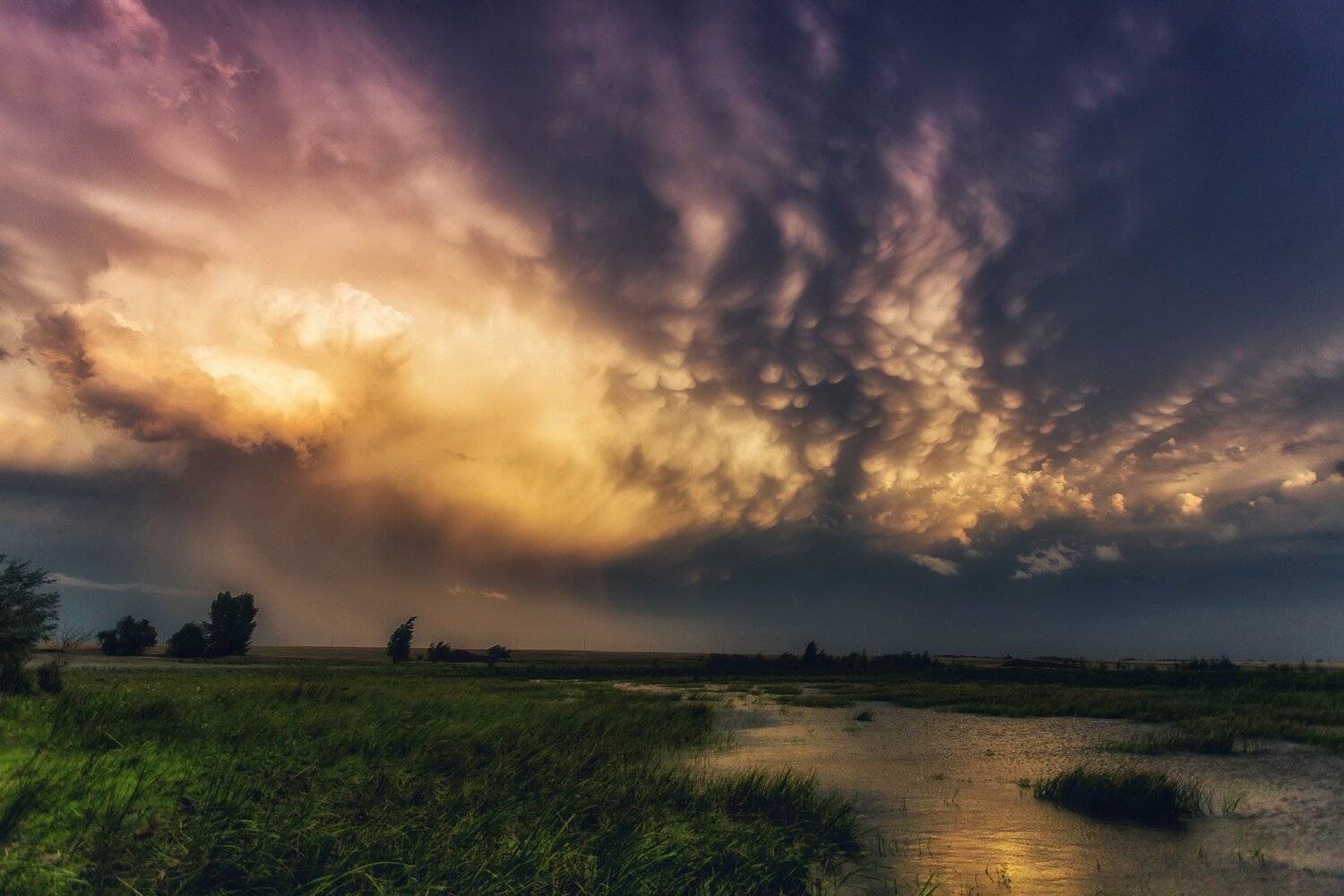 , Павел Сагайдак