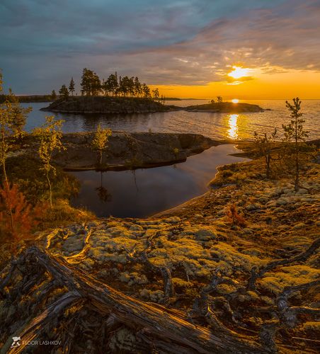 Роскошный свет