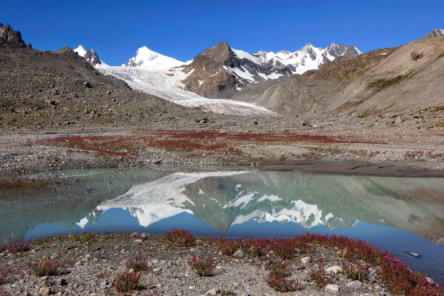 , Дмитрий Д.